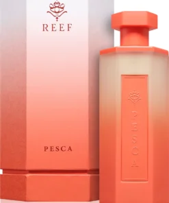 REEF SUMMER - PESCA